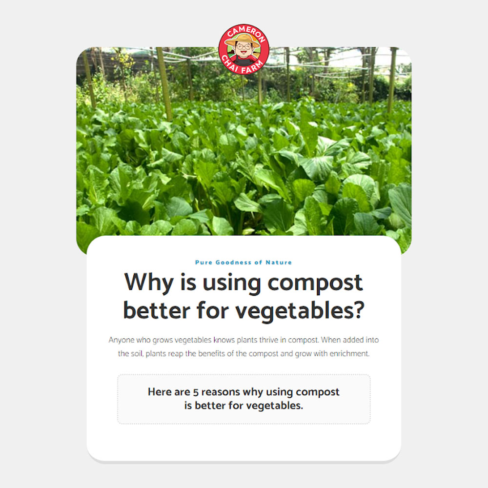 cameron-chai-web